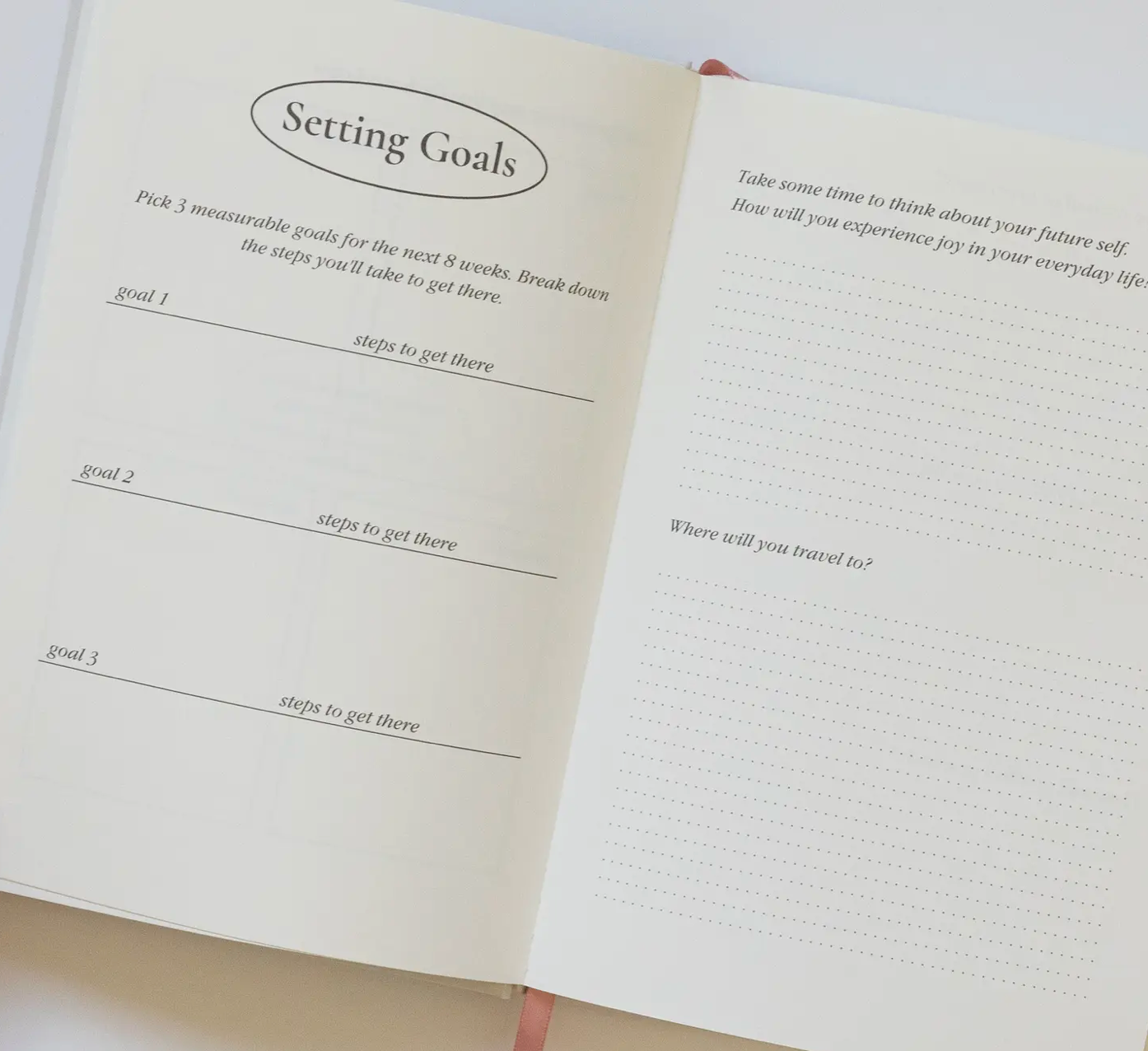Cool Girls Have Wellness Journals Notebook