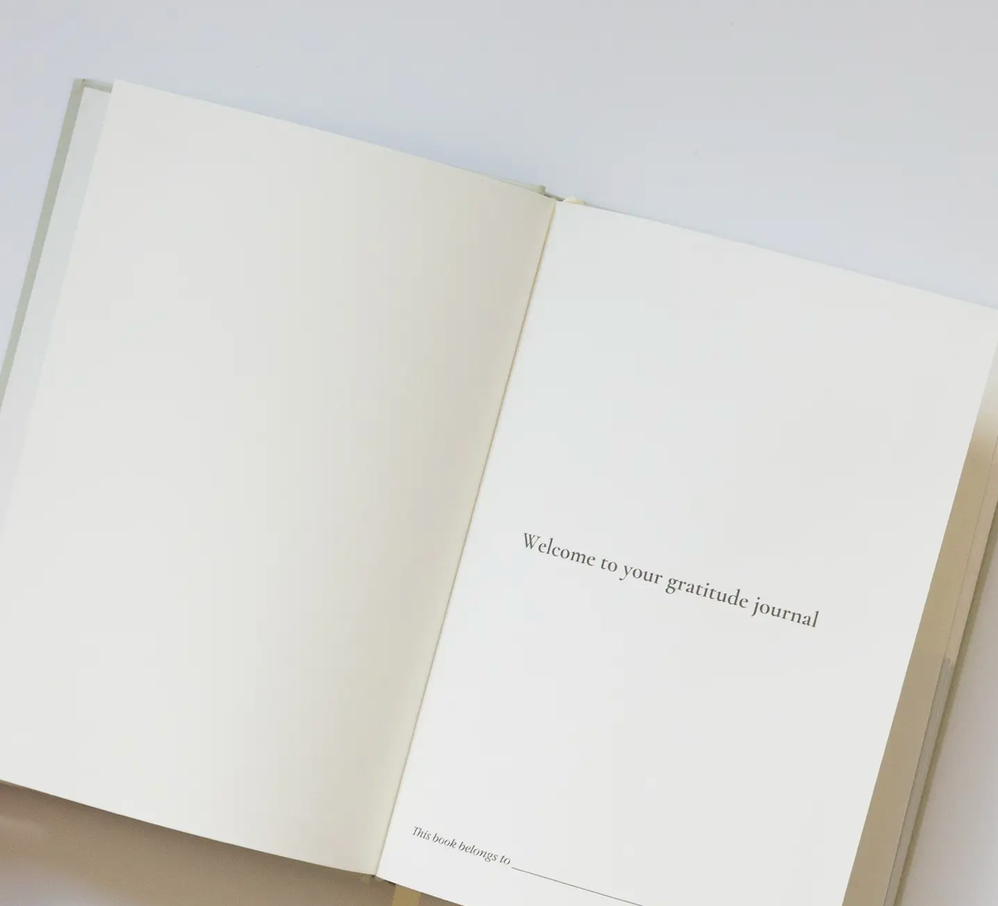 My Gratitude Notebook