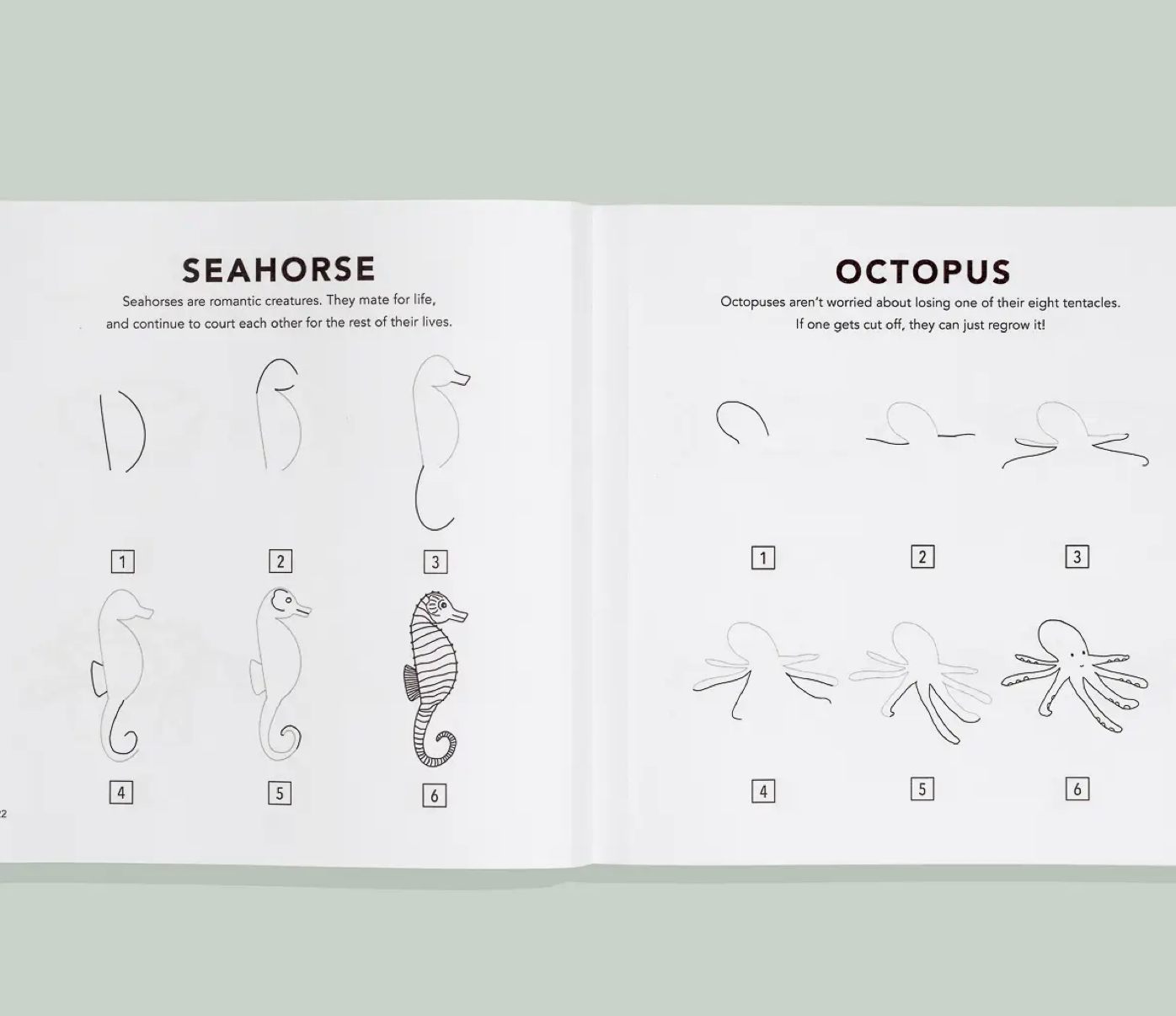How To Draw Sea Coloring Book