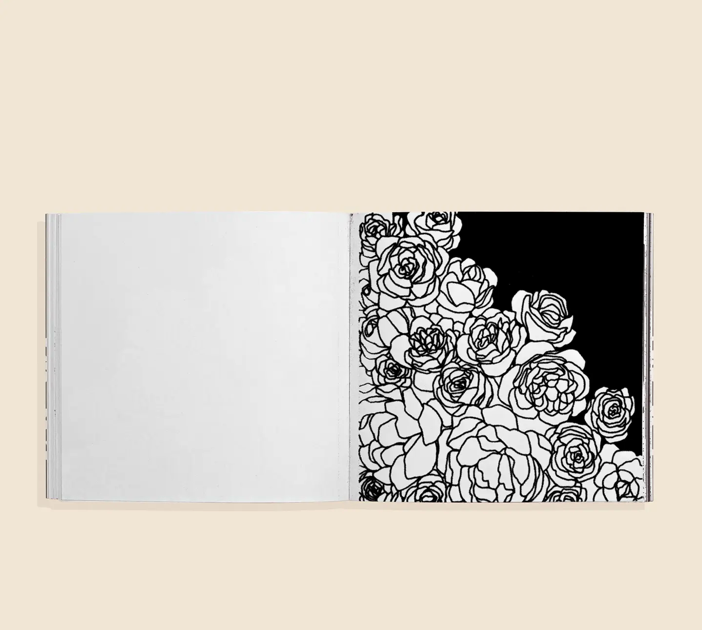 Bloom Coloring Book
