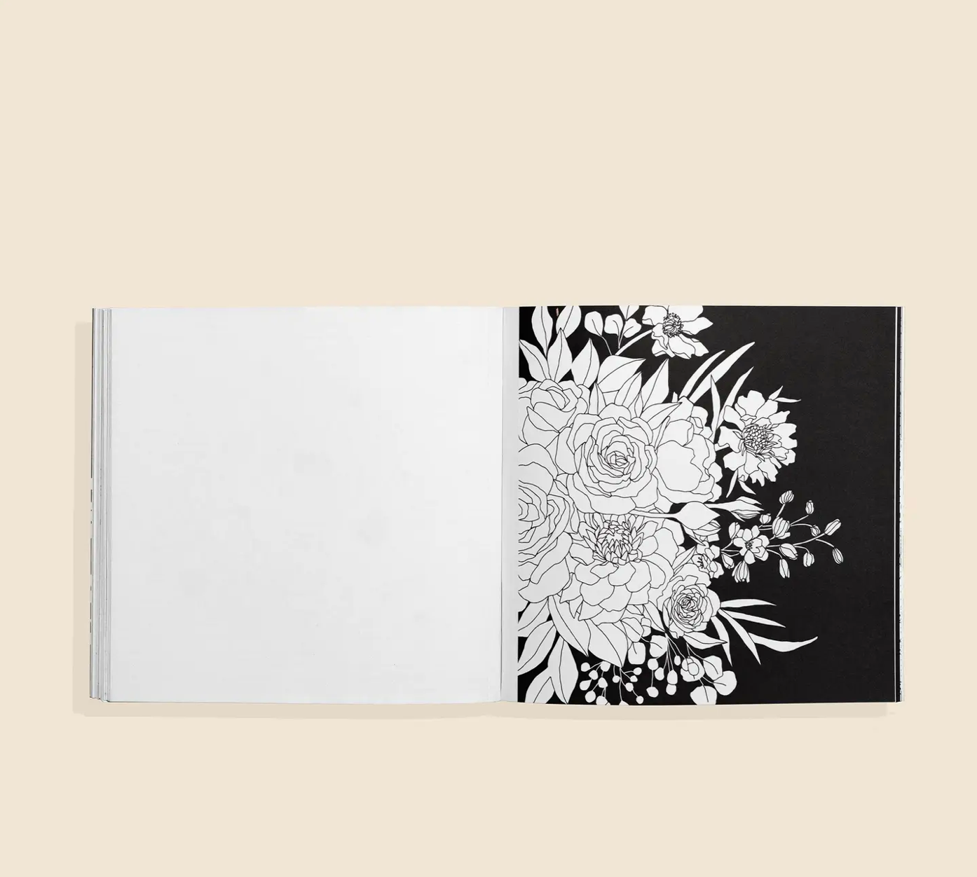 Bloom Coloring Book