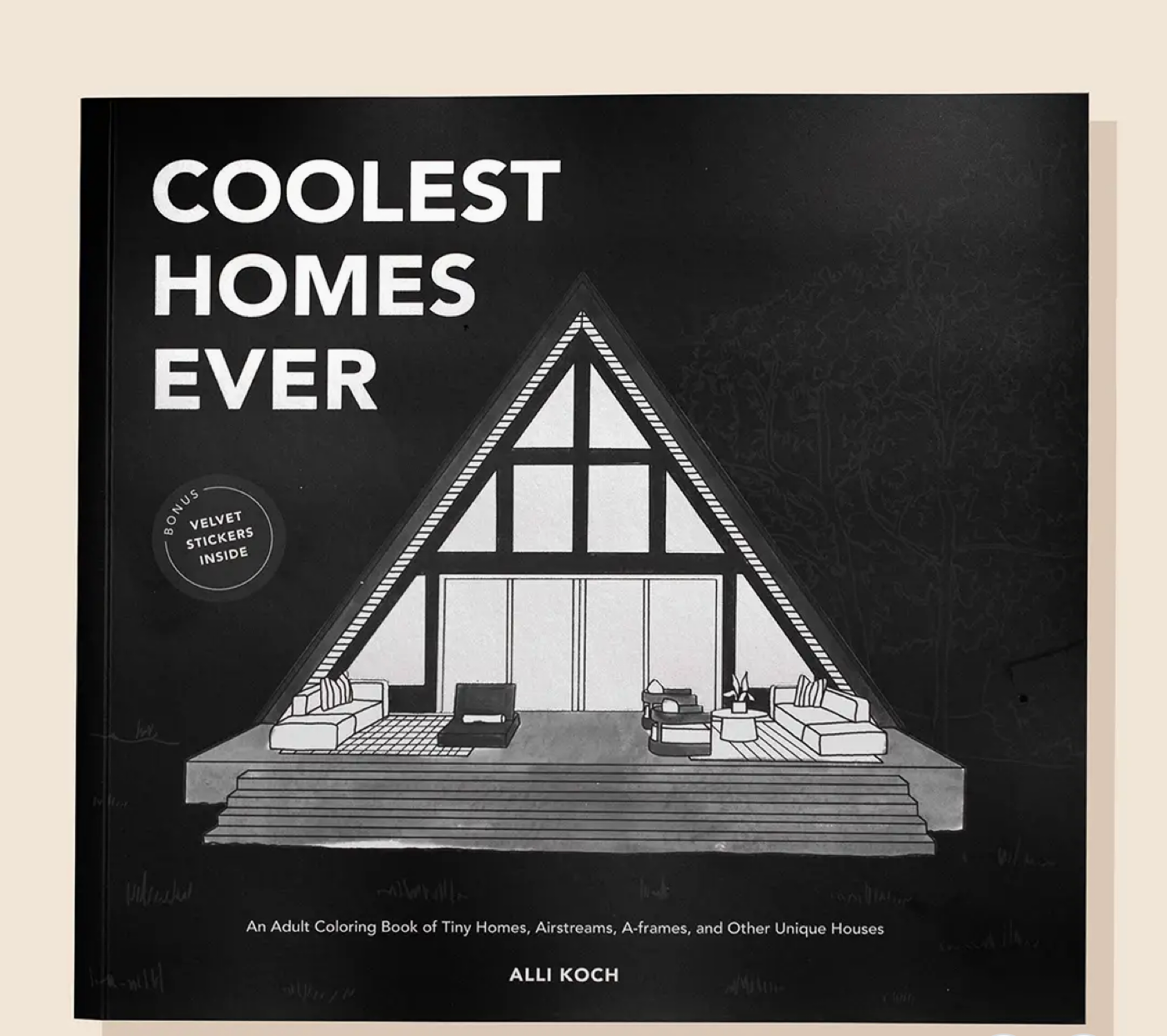 Coolest Homes Ever Coloring Book