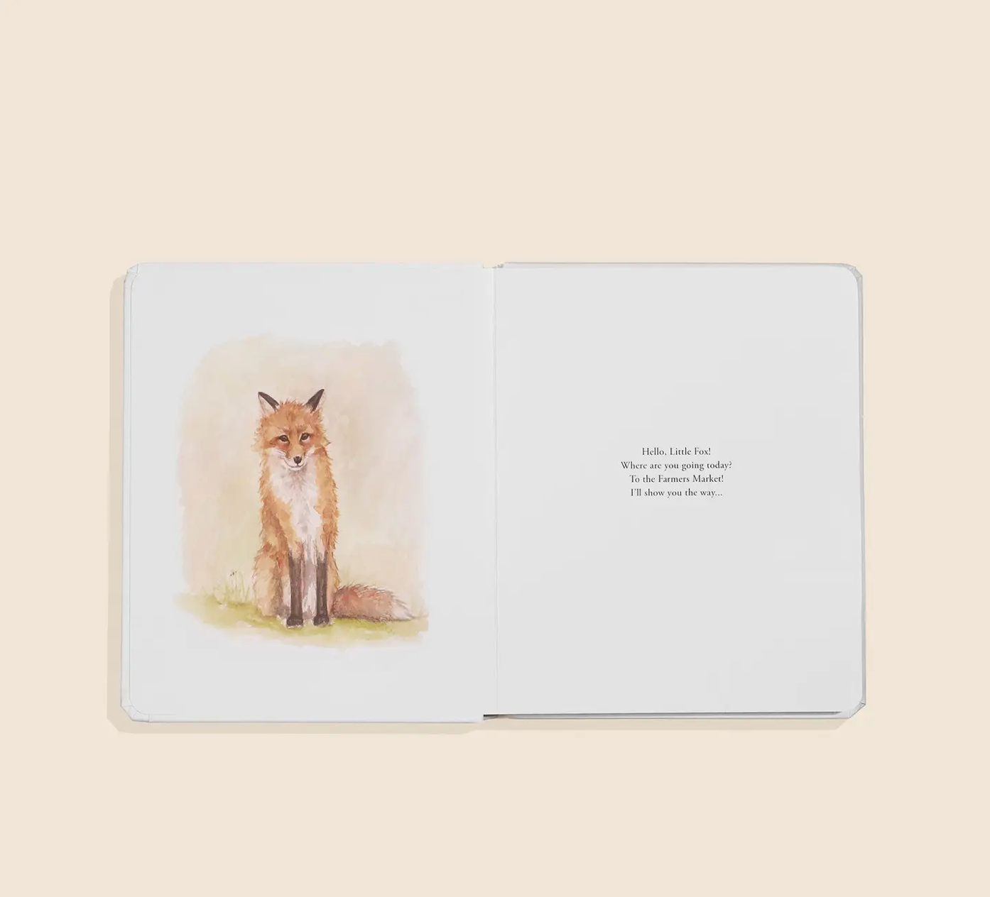 Farmer's Market Kid Book