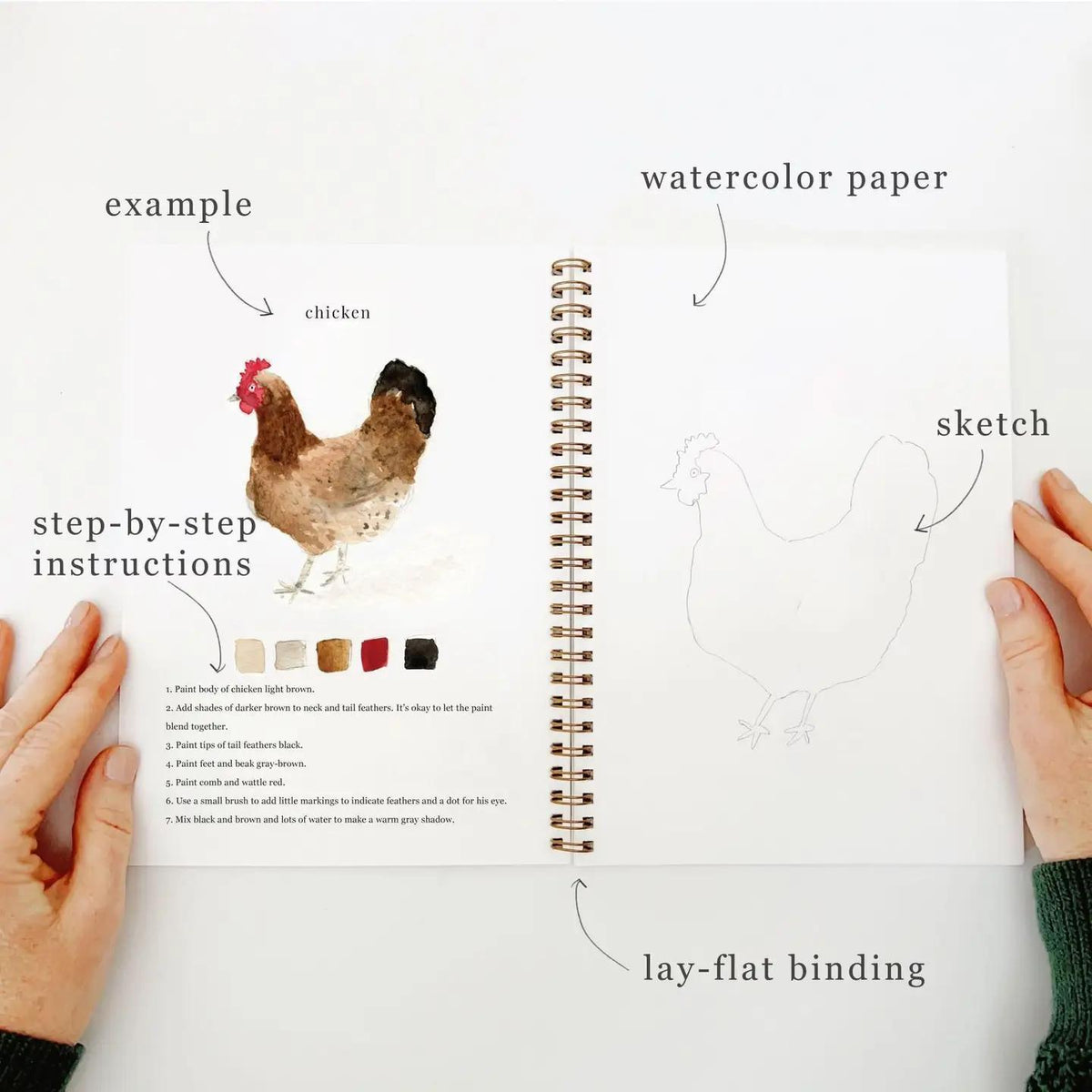 animals watercolor book