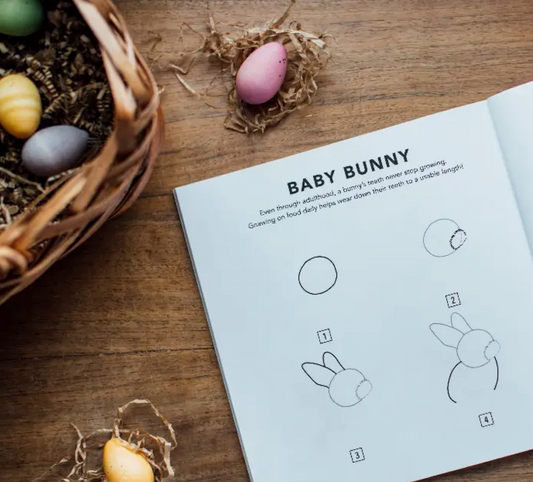 How To Draw Spring Coloring Book