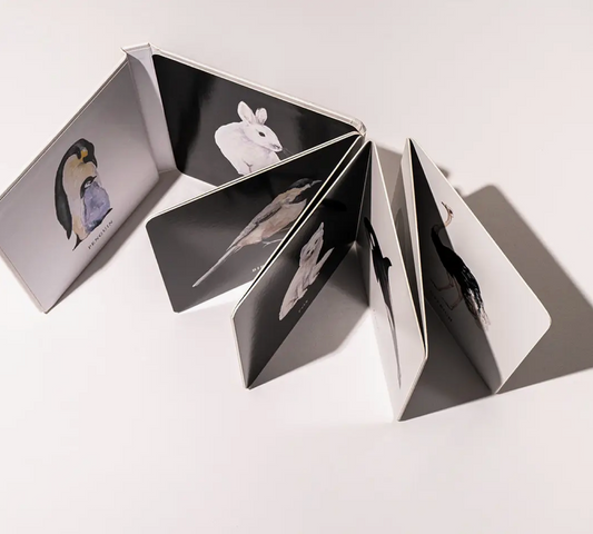 Black and White Contrast Kids Book